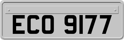 ECO9177