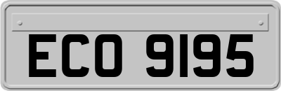 ECO9195