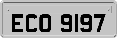 ECO9197