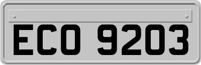 ECO9203