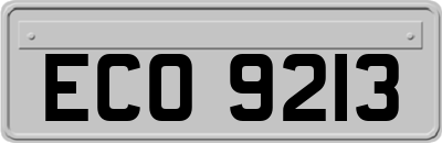 ECO9213