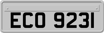 ECO9231
