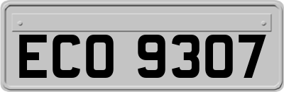 ECO9307