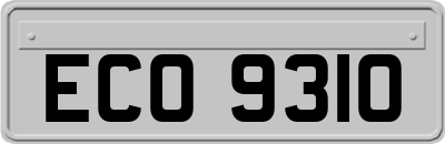 ECO9310