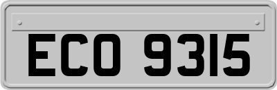 ECO9315