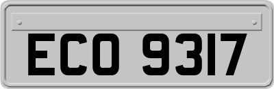 ECO9317