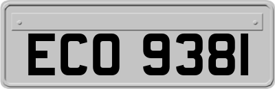 ECO9381