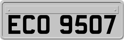 ECO9507