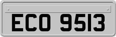 ECO9513