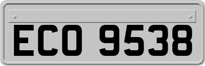 ECO9538