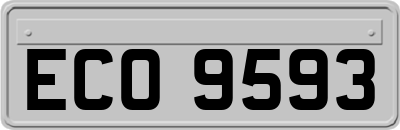 ECO9593
