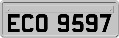 ECO9597