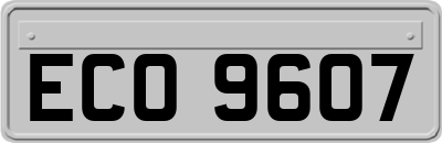 ECO9607