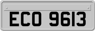 ECO9613