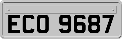 ECO9687