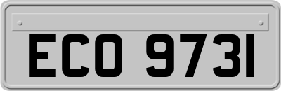 ECO9731