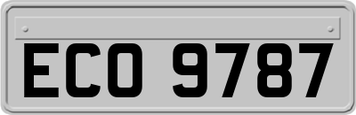 ECO9787