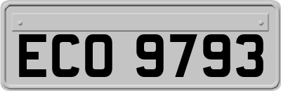 ECO9793