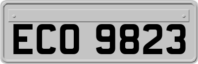 ECO9823