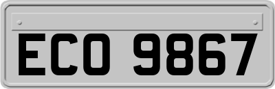ECO9867
