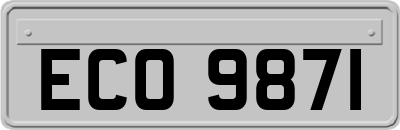 ECO9871