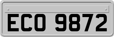 ECO9872