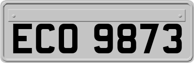 ECO9873