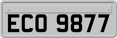 ECO9877