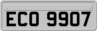 ECO9907