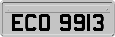 ECO9913