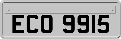 ECO9915