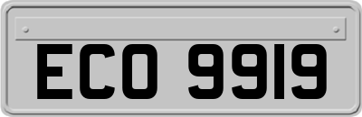 ECO9919