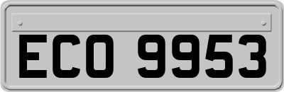 ECO9953