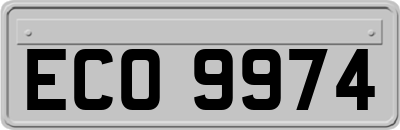 ECO9974