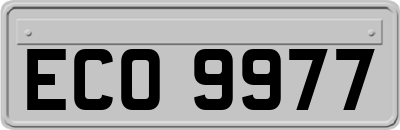 ECO9977