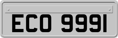ECO9991