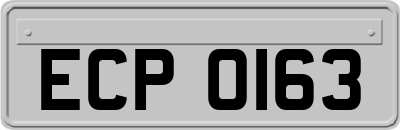 ECP0163