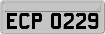 ECP0229