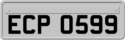 ECP0599