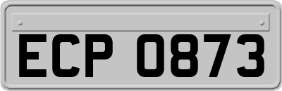 ECP0873