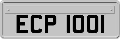 ECP1001