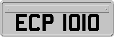ECP1010