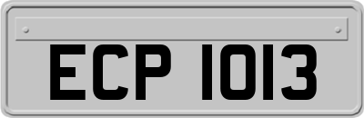 ECP1013
