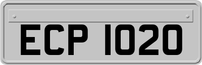 ECP1020