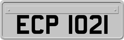 ECP1021