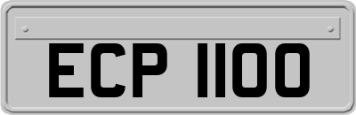 ECP1100