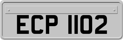 ECP1102