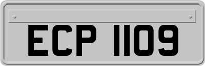 ECP1109