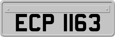 ECP1163