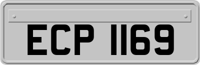 ECP1169
